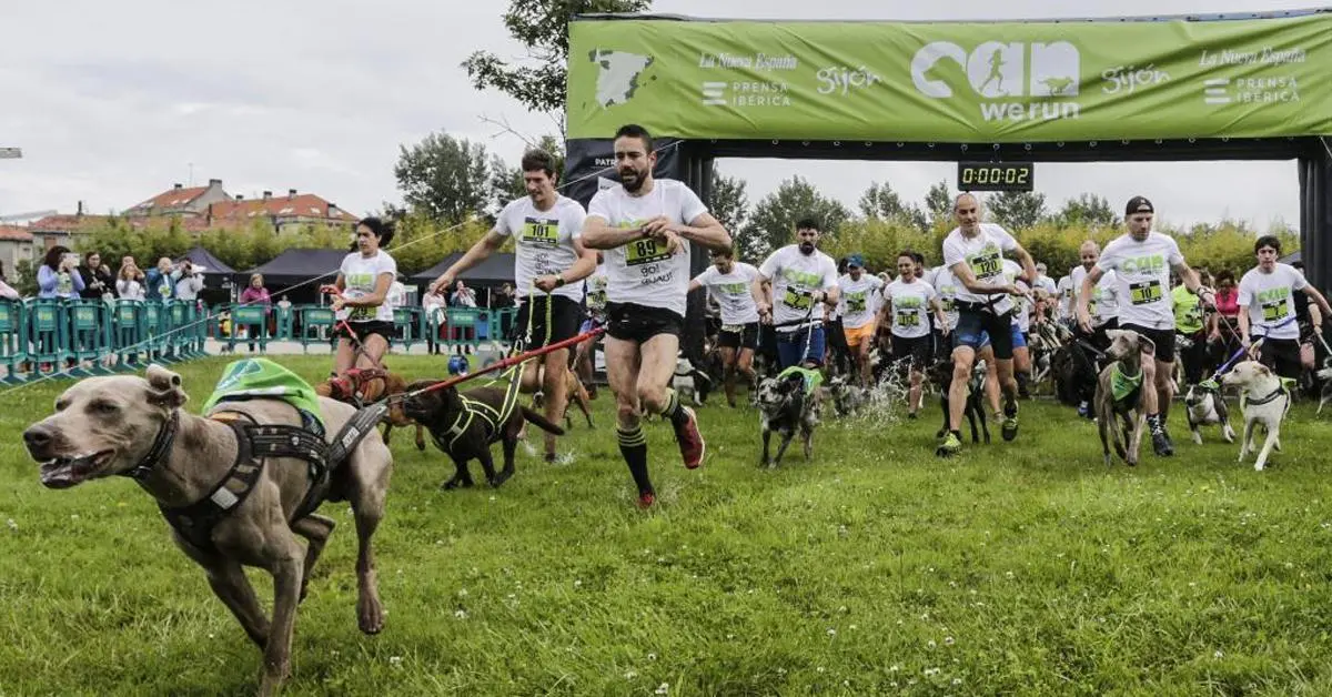 Imagen principal para la Can We Run 2026