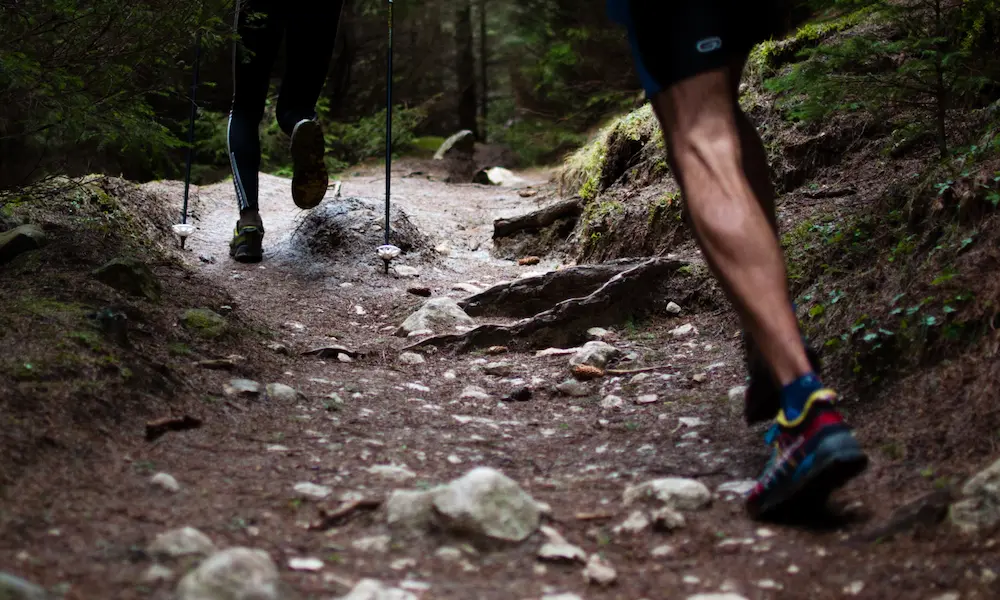 Imagen principal para la Senders de Can Costa - La Trail de 21 KMS